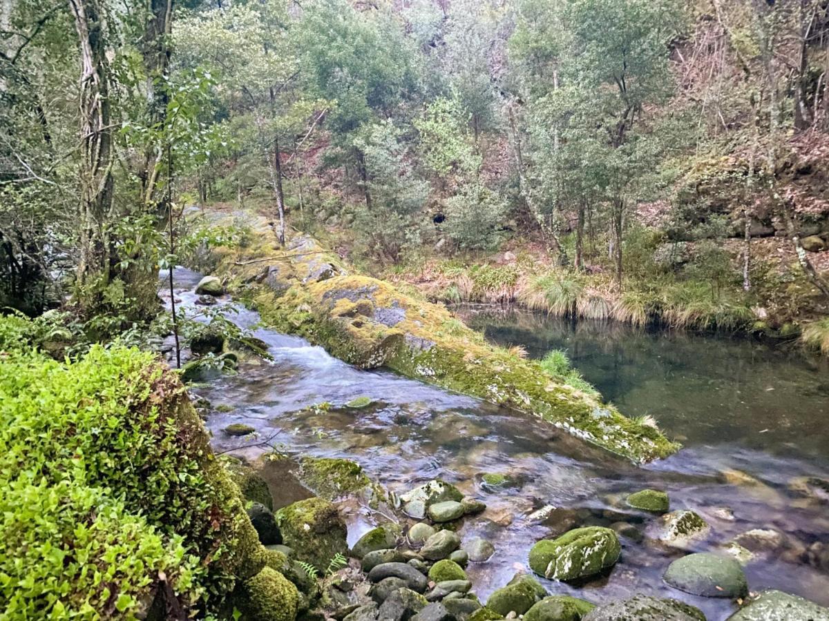 Entre Os Rios - Casa Rural Y Enoturismo Пуэбла-дель-Караминьяль Экстерьер фото